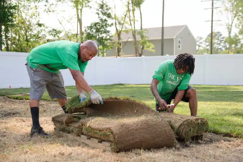 Sod Installation in Newport News