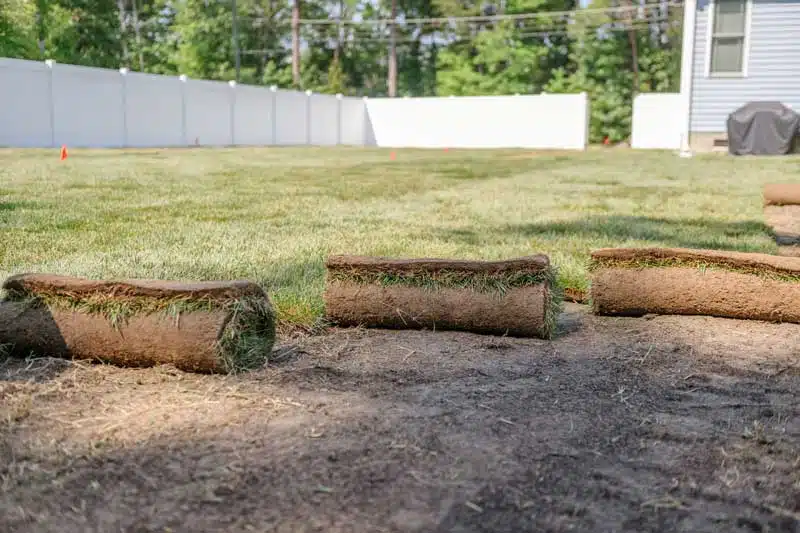 sod installation